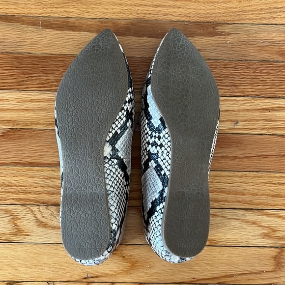 STEVE MADDEN | Snake skin flats 🐍 - Picture 5 of 7
